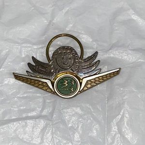 Vintage Ozark Airlines pin